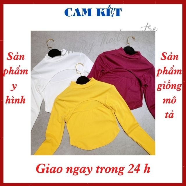 Áo Crop Top Crt Nữ Thun Gân Kiểu Khoét Hở Phần Ngực Sexy Tay Dài Cổ Lọ From Ôm Body Ngắn Ngang Eo, Thời Trang Thể Thao