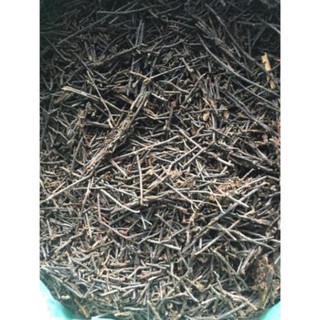 (SÂN VƯỜN) 1 kg Dớn cọng xay nhỏ