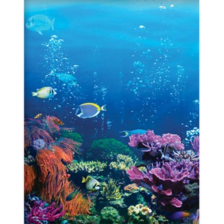Tranh nền dán hồ Aqua 36 kích thước yêu cầu 115 x 90 cm