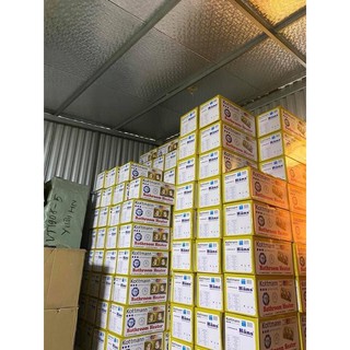 Đèn sưởi 2 bóng và 3 bóng