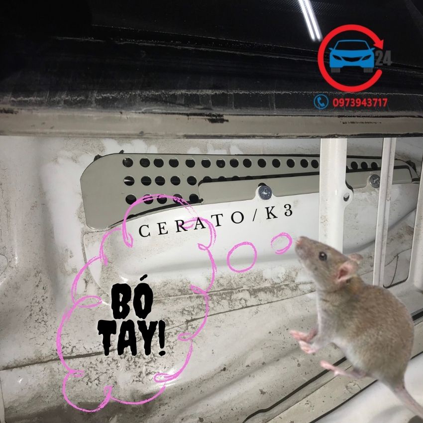 Lưới chống chuột ô tô Kia Cerato/ K3, tấm chắn chuột khoang lái Cerato/ K3 bền đẹp,an toàn và hiệu quả