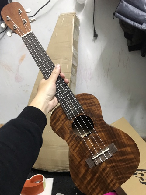 THANH LÝ - ĐÀN UKULELE CONCERT GỖ