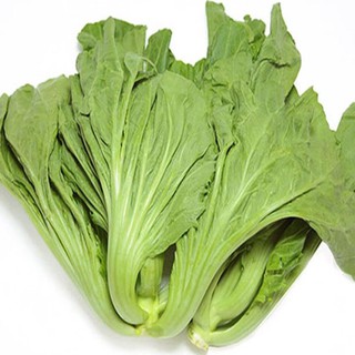 hạt giống cải bẹ xanh