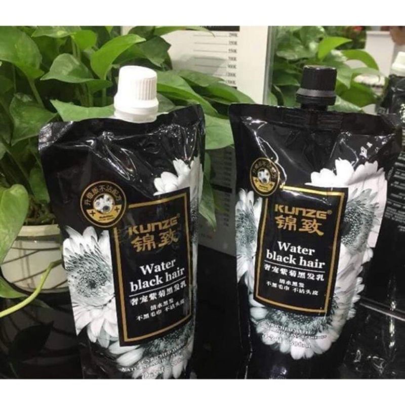 Cặp nhuộm đen hoa cúc Water black hair - Phủ bạc hiệu quả 100%