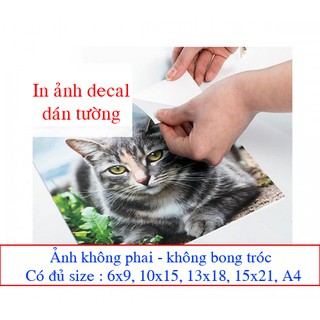 In ảnh decal dán tường ( đủ size)