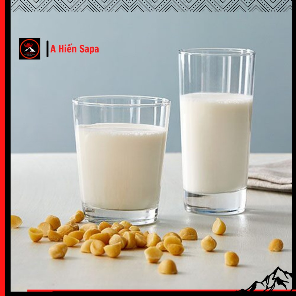 Hạt macca dinh dưỡng gói ăn thử 100 gr, hỗ trợ bệnh tiểu đường, tim mạch, tốt cho sức khoẻ mẹ bầu và trẻ nhỏ.