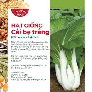 Hạt Giống Cải Bẹ Trắng ( White stem Pakchoi)