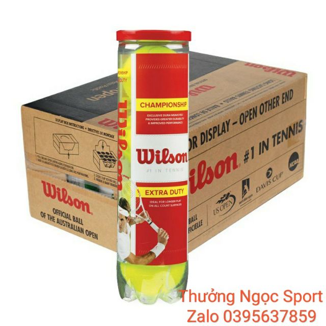 Banh tennis Wilson 1thùng