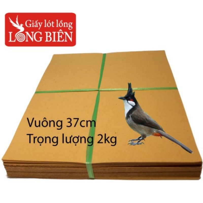 Giấy lót lồng Chào mào vuông 19 nan kích thước 37cm, trọng lượng 2kg.