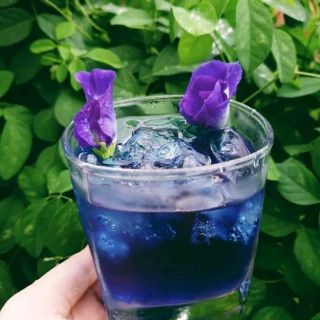 hoa đậu biếc 100g