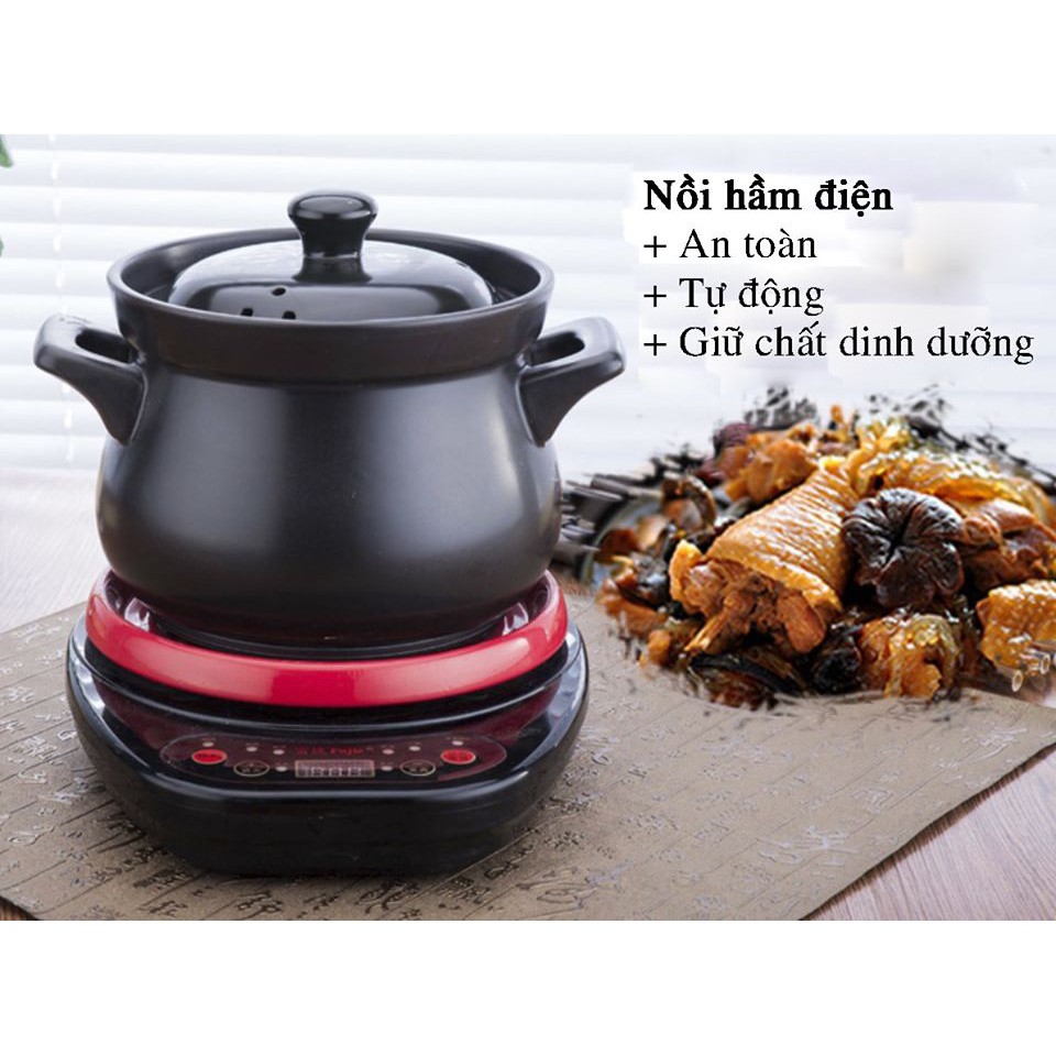 NỒI ĐẤT ĐIỆN ĐA NĂNG CAO CẤP (kho cá, hầm gà, ninh xương, nấu cơm gạo lứt...) dung tích 3L - 5L