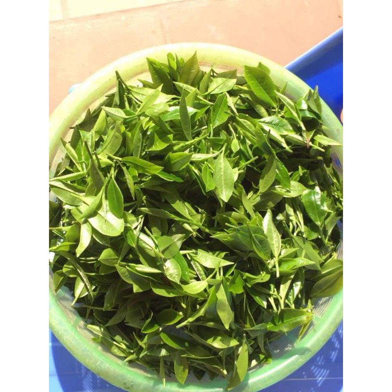 Trà Tân Cương Thái Nguyên gói 500g