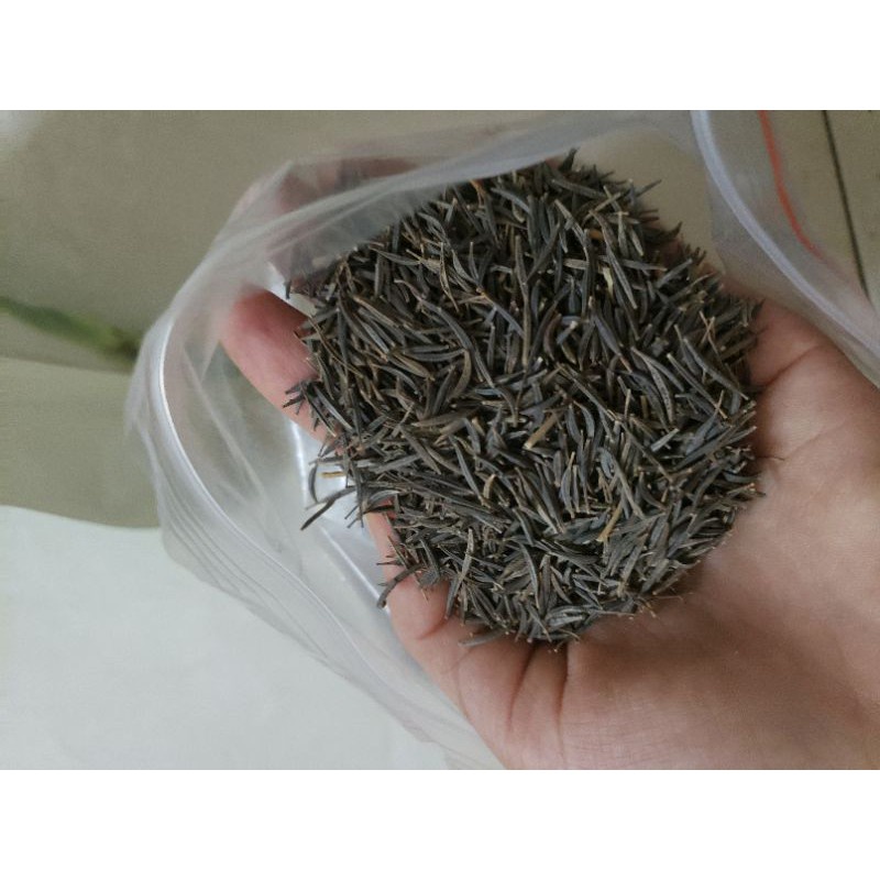 Hạt giống hoa sao nhái MÀU CAM - hoa cánh bướm GÓI 100 HẠT đẹp tỷ lệ nảy mầm cao dễ trồng HSN0044