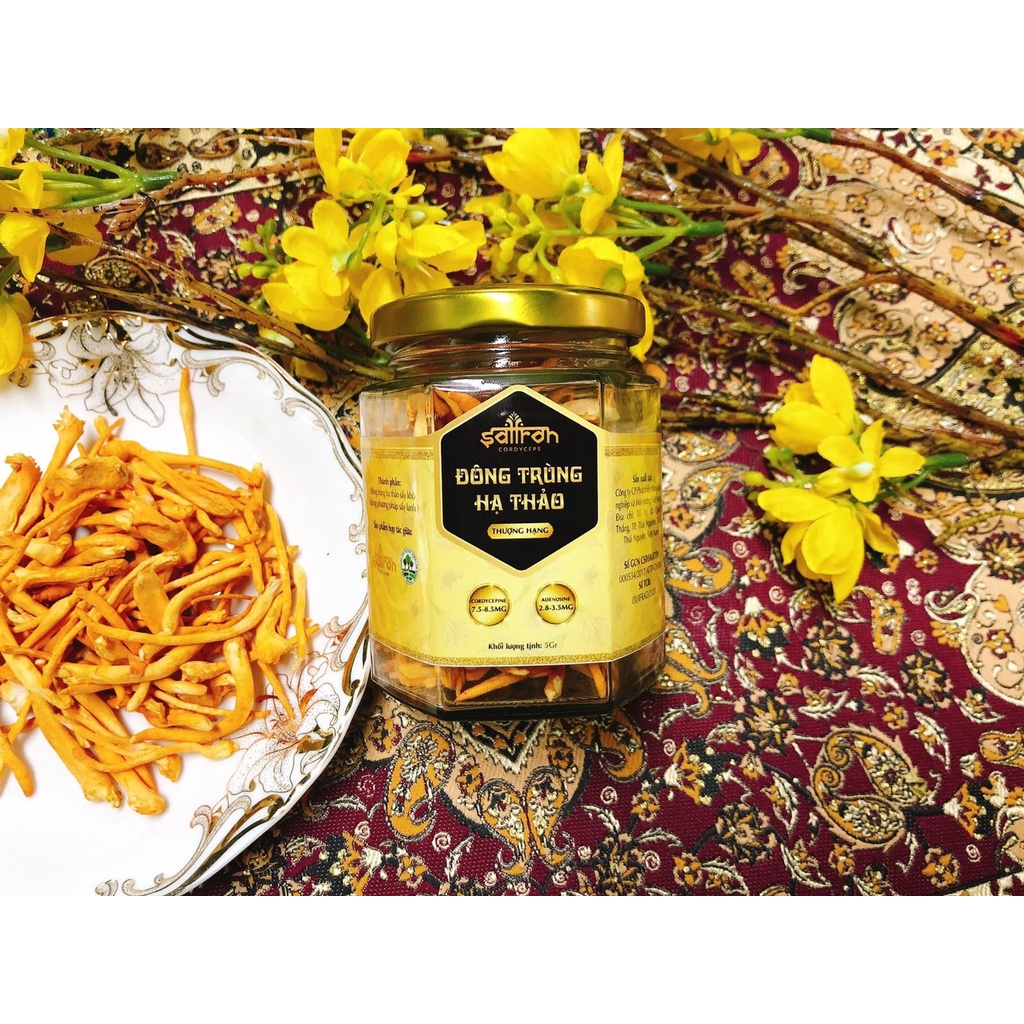 Đông Trùng Hạ Thảo Saffron Việt Nam lọ 5gr