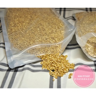 HẠT CỎ LÚA MÌ CHO MÈO 50G