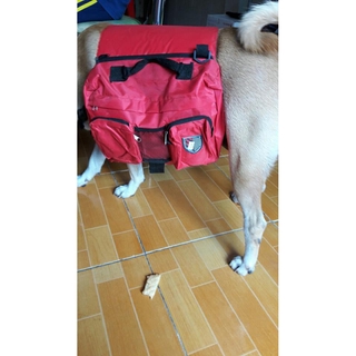 hàng hết rồi - giờ chỉ là kỷ niệm lưu tại đây - panda và milu của tôi