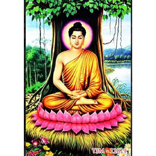 Tranh dán tường cây bồ đề