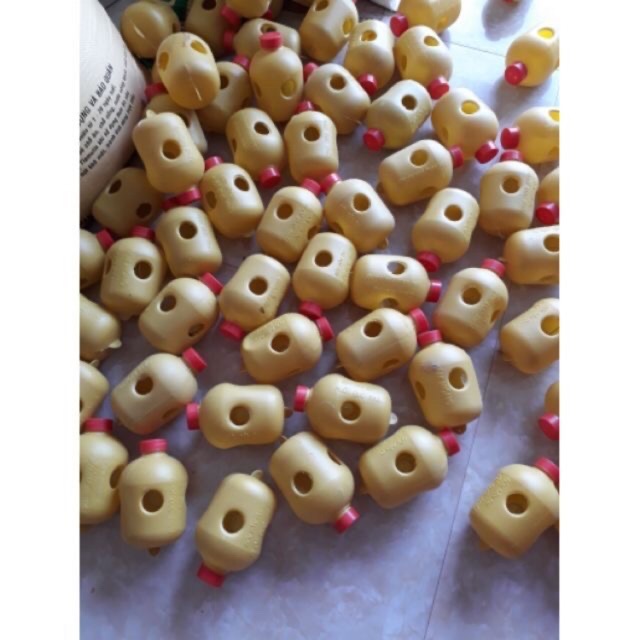 lồng đặt bẫy ruồi  đục trái....