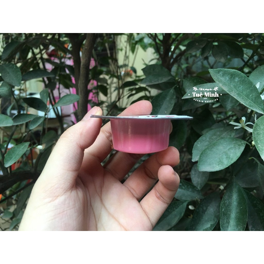 Thuốc Phát Triển Hoa Đầu Ngọn VTL17 – Nhỏ giọt đầu ngọn để kích hoa - Chính hãng