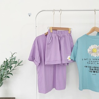 SET BỘ HOA CÚC