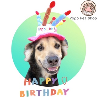 🎂 Nón Mũ Sinh Nhật Cho Chó Mèo Thú cưng