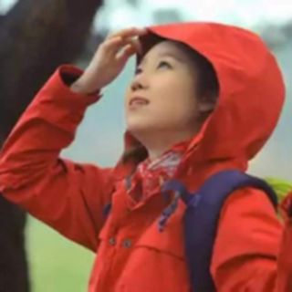 Áo The North Face 2 lớp: 300k