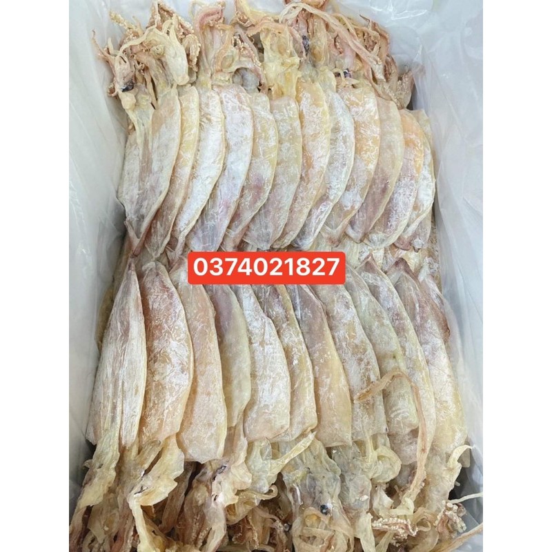 500gr(20con) khô mực câu 100%phơi tại ghe ko tẩm màu tẩy trắng hàng chất lượng nhà câu tươi phơi tại biển hàng sạch | BigBuy360 - bigbuy360.vn