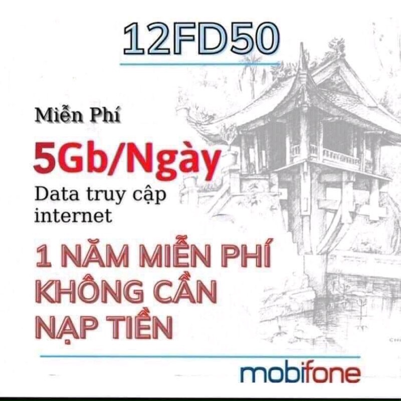 Sim 12FD50 trọn gói 12 tháng 5Gb/ngày