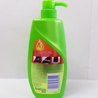 Dầu Gội Rejoice Thái Lan 600 ml