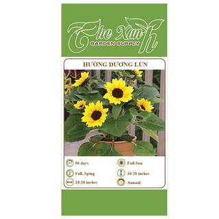 Gói 30 hạt giống hoa hướng dương lùn The Xanh Garden Supply