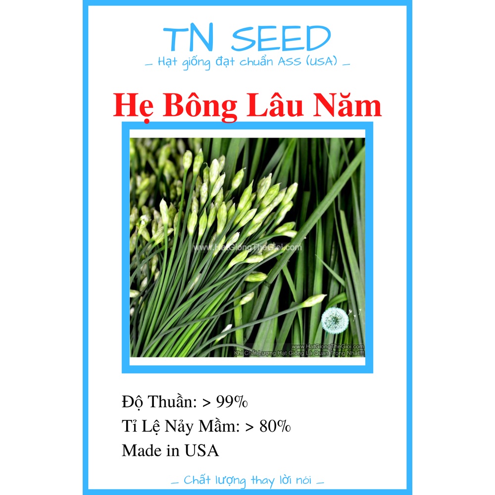Hạt Giống Hẹ Cao Sản [1g]