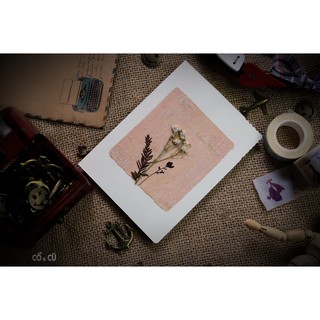 Thiệp Hoa Lá Cỏ Handmade