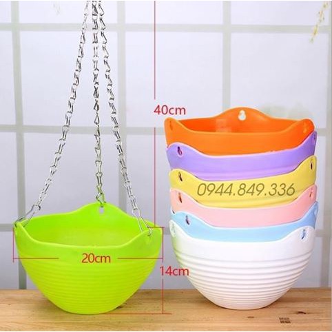 COMBO 10 CHẬU SIÊU RẺ