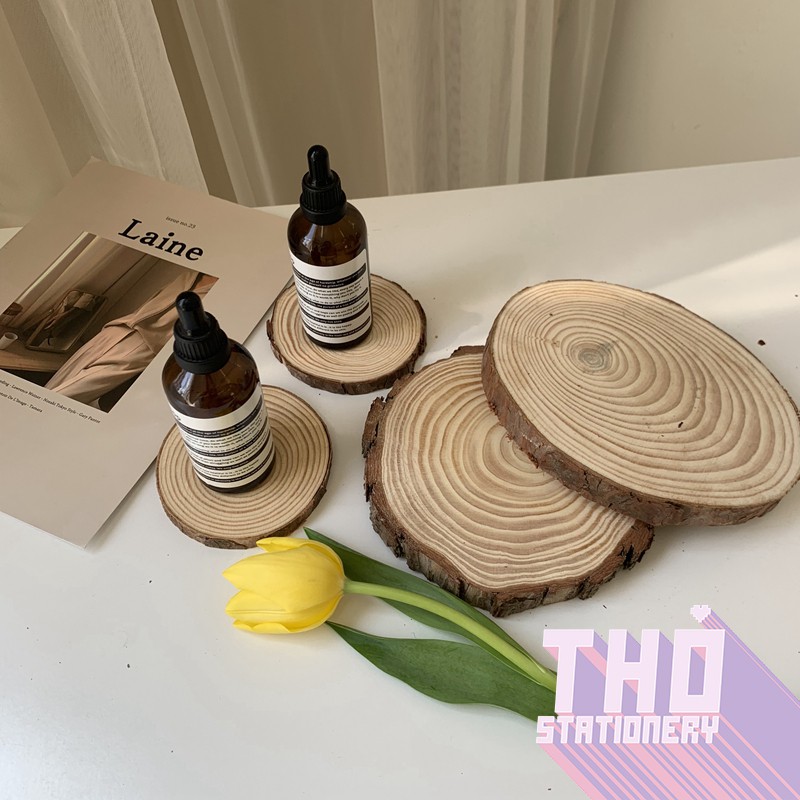 Đế gỗ decor thông tự nhiên vintage aesthetic phụ kiện trang trí chụp ảnh sản phẩm trang trí phòng ngủ bàn học
