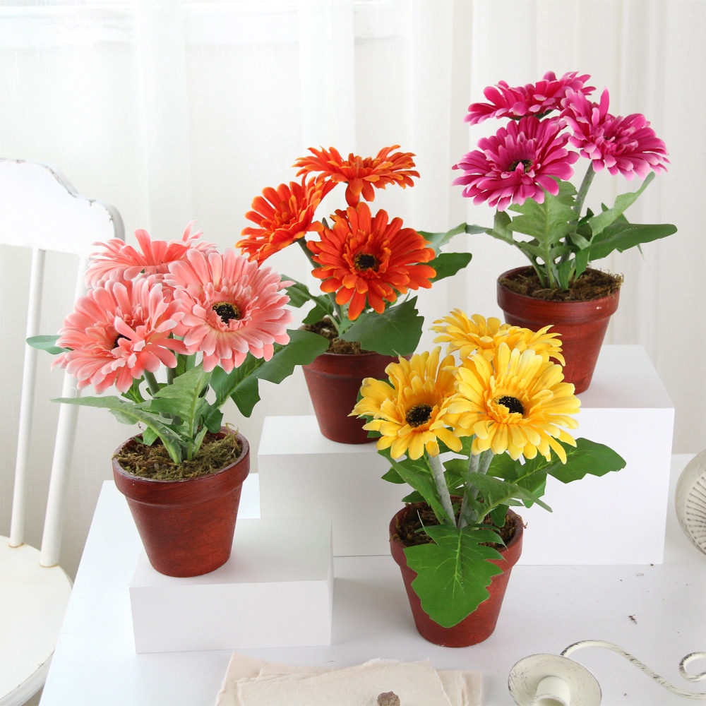 Chậu hoa hướng dương, hoa đồng tiền nhựa để bàn trang trí