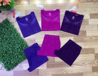 BỘ COTTON TRUNG NIÊN