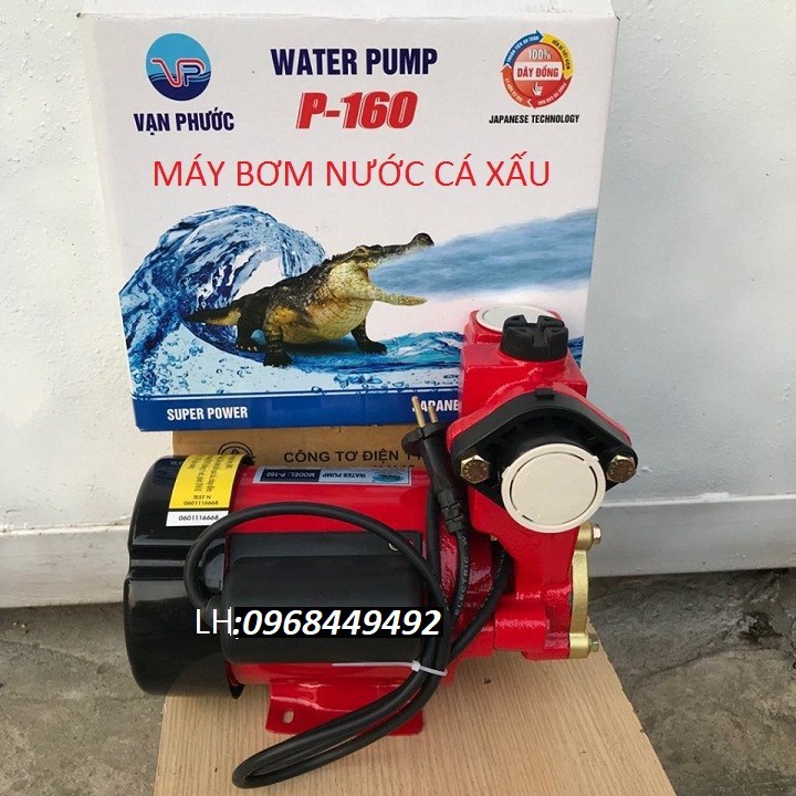 Máy bơm nước - Máy bơm nước chân không CÁ XẤU 160W