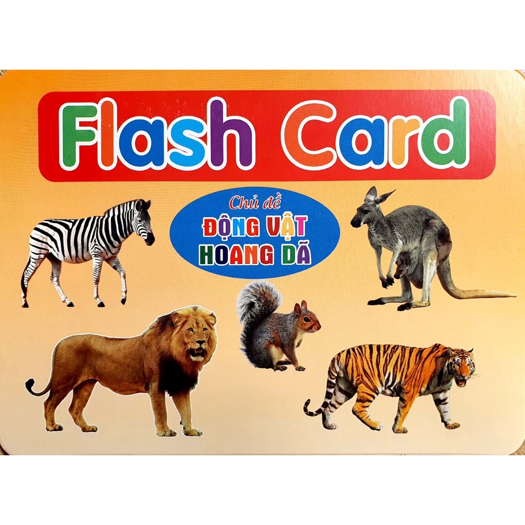 Bộ thẻ Flashcard song ngữ Việt Anh - Dạy trẻ về thế giới xung quanh 19 chủ đề (phương pháp Glenn Doman) (Việt Hà)