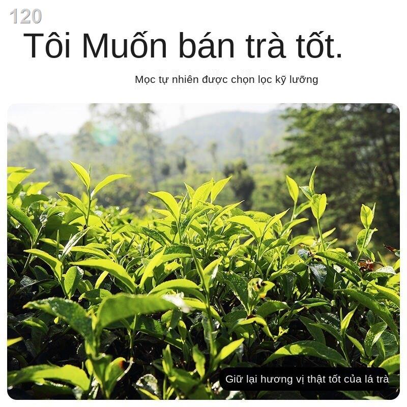 【bán chạy】600g không lọc, trà túi lọc hương Bangli, đen thơm lúa mì, sữa đặc biệt bá tước cà phê phin vàng