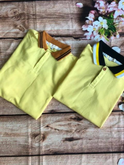 Đầm kiểu cổ polo cực đơn giản cho nữ