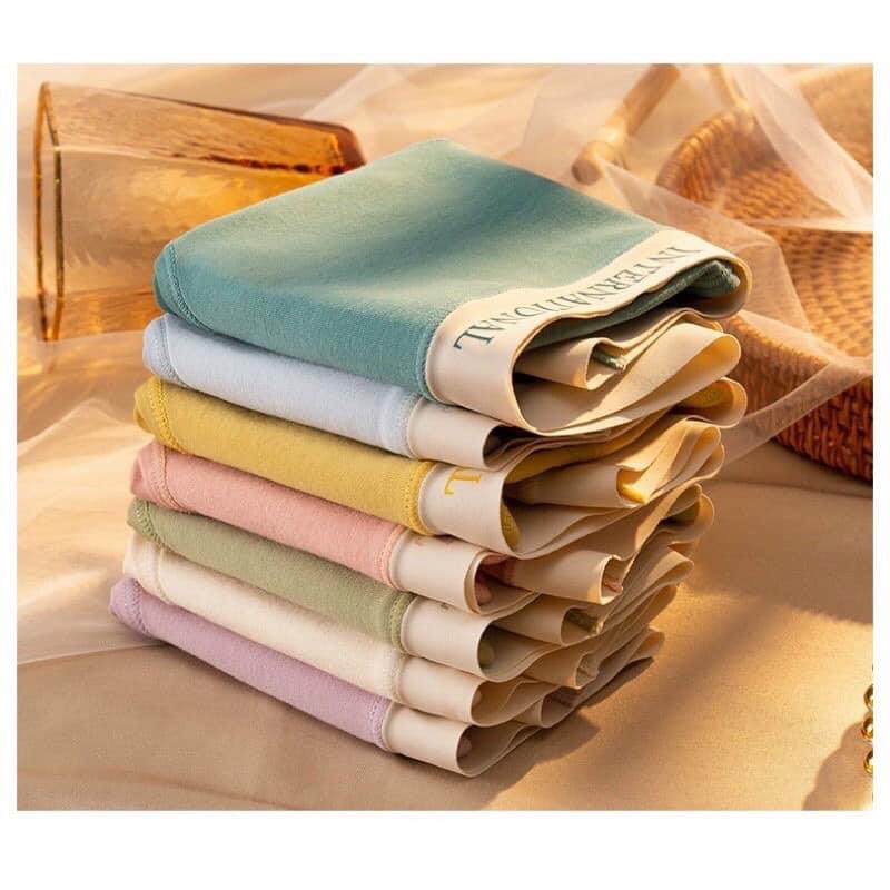 Quần Lót Nữ Cotton Cạp Su Viền Chữ Kháng Khuẩn Siêu Sịn 8858