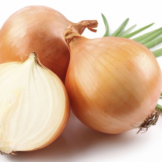 Bộ 1 hạt giống hành tây
