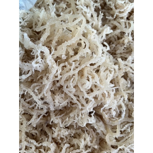 Rong sụn , rong biển trắng Phan Rang 500gram