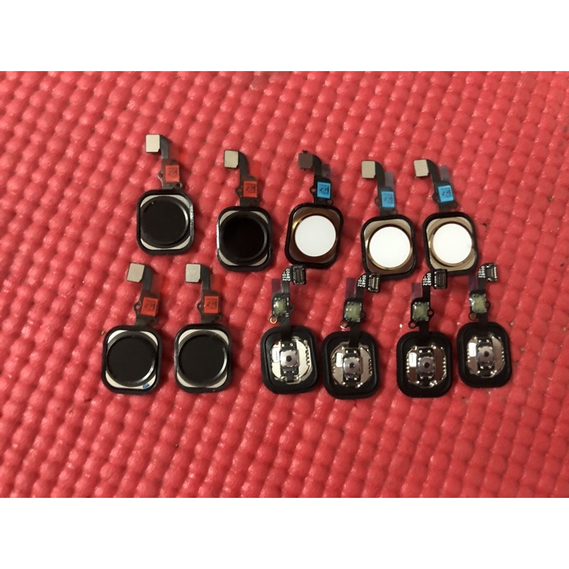 Home zin new 6S Trắng Đen