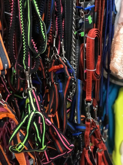 Dây dẫn Yếm cho Thú cưng