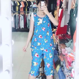 TOLE LỬNG CÁNH TIÊN