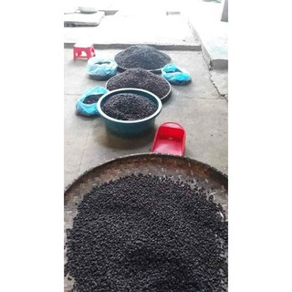 Hạt Mắc Mật Tây Bắc 500g