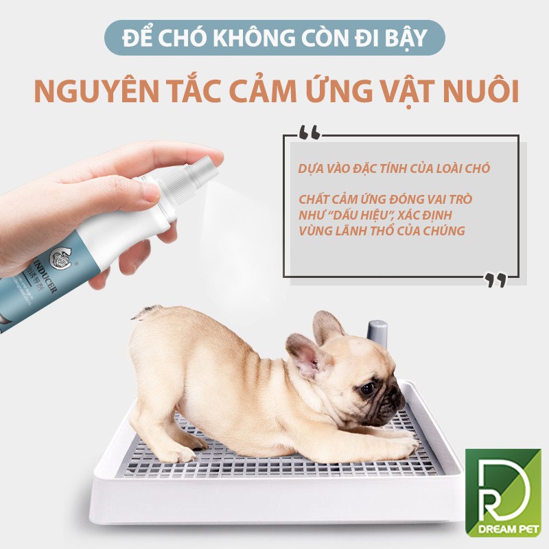 XỊT HƯỚNG DẪN CHÓ ĐI VỆ SINH ĐÚNG CHỖ - ĐỊNH VỊ VỆ SINH CHO CHÓ MÈO 150ML DreamPet