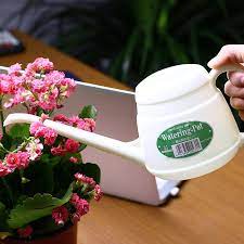 Bình tưới cây cảnh 850mL Nakaya NHẬT BẢN