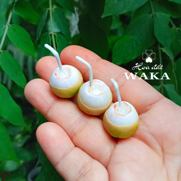 Mô hình Dừa Xiêm Đỏ Mini - Rau Củ Quả Mini 1/12